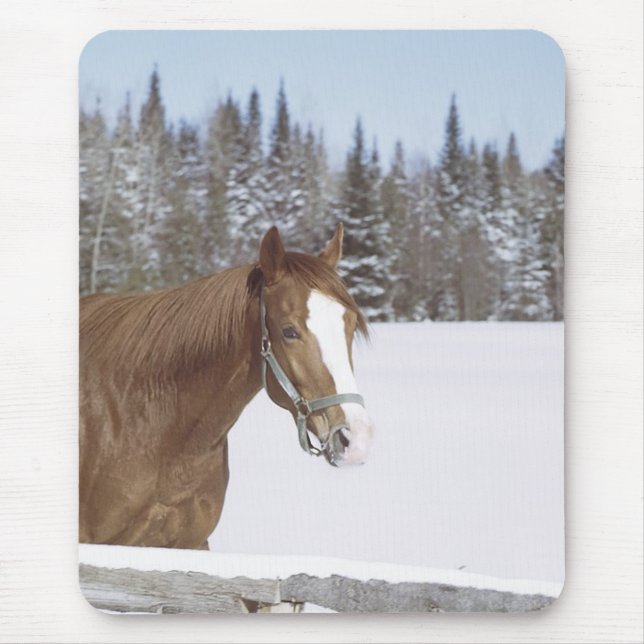 Tapis De Souris Cheval d'hiver (Devant)