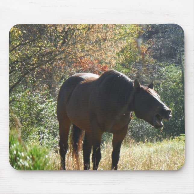 Tapis De Souris Cheval en automne (Devant)