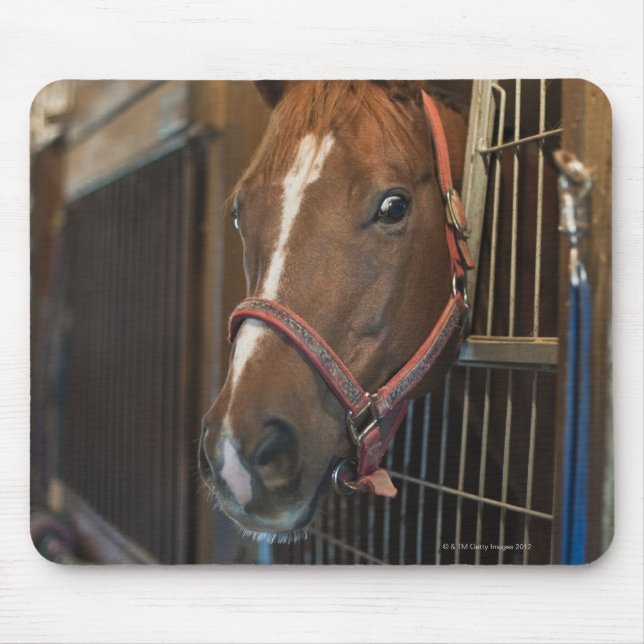 Tapis De Souris Cheval en décrochage (Devant)