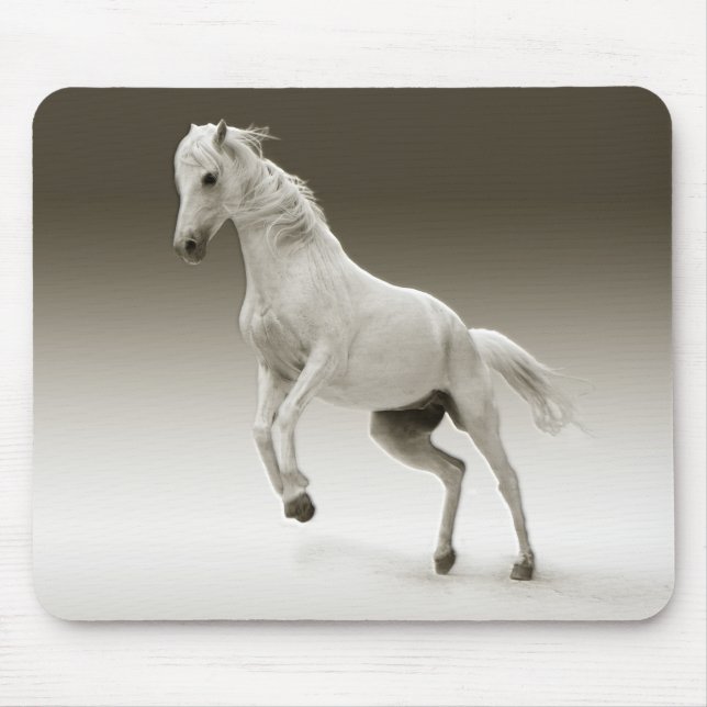 Tapis De Souris Cheval Equestre Blanc Mare (Devant)