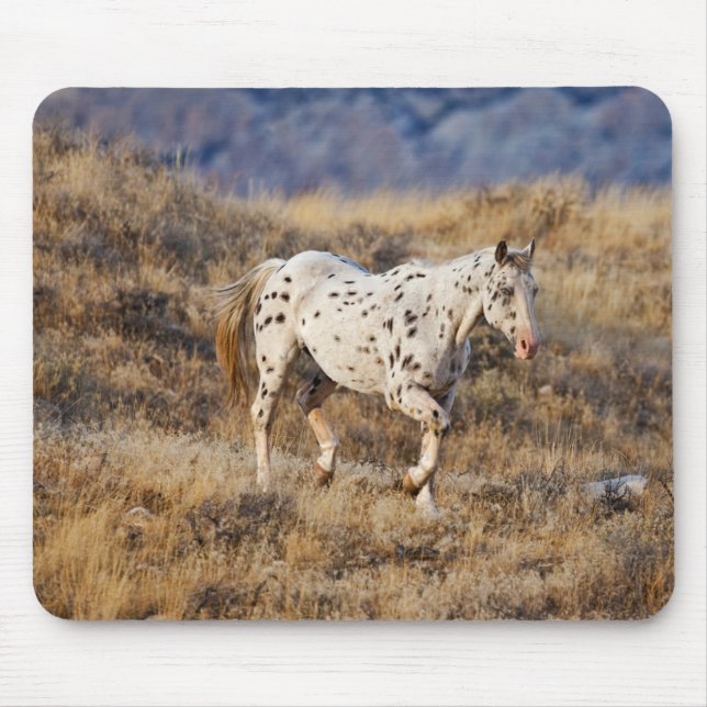 Tapis De Souris Cheval errant dans les collines panoramiques de Bi (Devant)