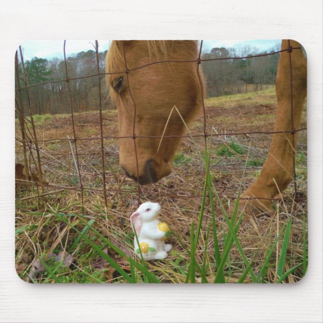 Tapis De Souris cheval et fleur de printemps Bunny (Devant)