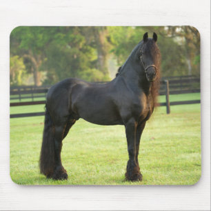 Tapis De Souris Cheval friésien noir