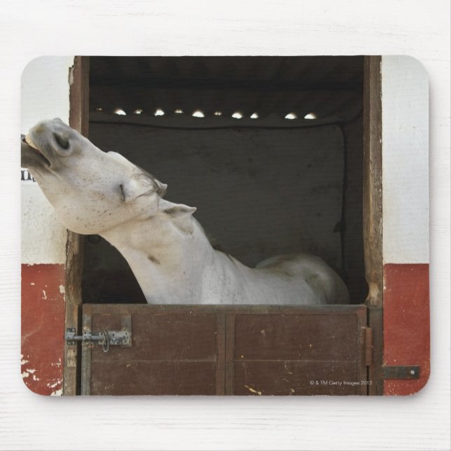 Tapis De Souris Cheval gris dans une écurie (Devant)