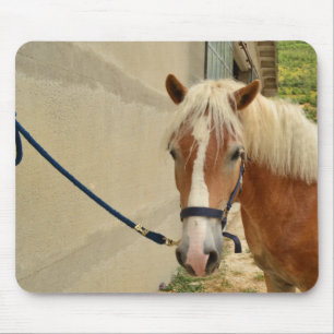 Tapis De Souris Cheval Haflinger