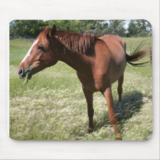 Tapis De Souris Cheval heureux