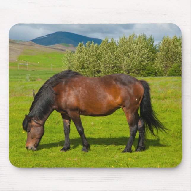 Tapis De Souris Cheval islandais de Mossfellsbaer (Devant)