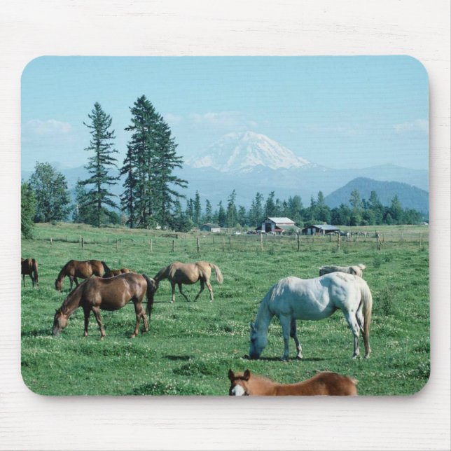 Tapis De Souris Cheval Mousepad (Devant)