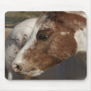 Tapis De Souris Cheval Mousepad