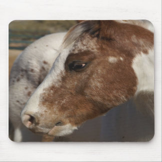 Tapis De Souris Cheval Mousepad