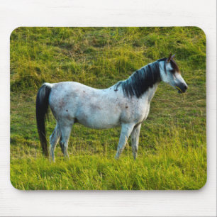 Tapis De Souris cheval Palouse, Colfax, région de Palouse, Washing