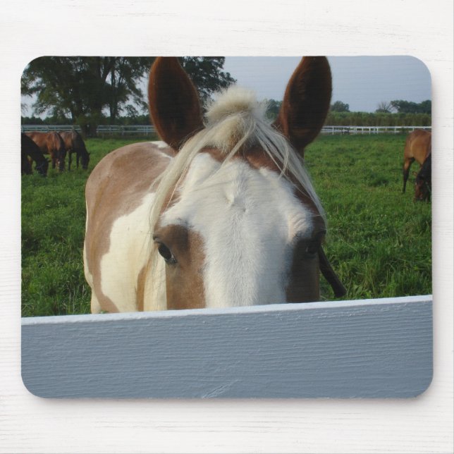 Tapis De Souris Cheval Peek a Boo (Devant)