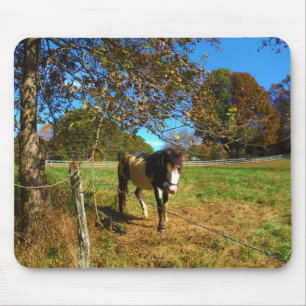 Tapis De Souris Cheval Peint,