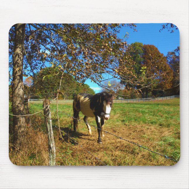 Tapis De Souris Cheval Peint, (Devant)