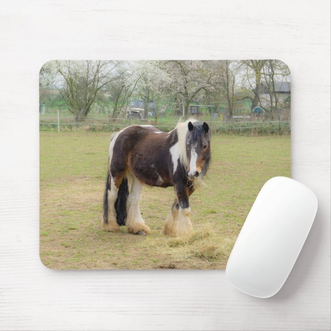 Tapis De Souris Cheval Piebald dans le pâturage (Avec souris)