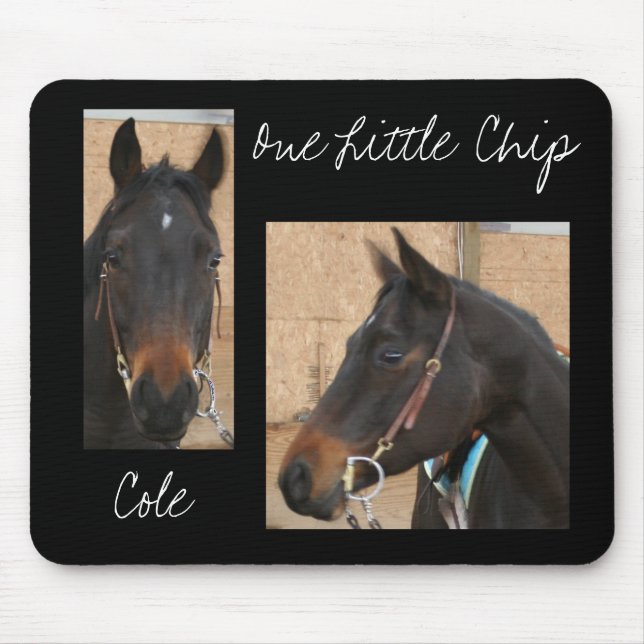 Tapis De Souris Cheval quart Mousepad (Devant)