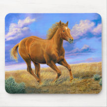 Cheval Quarter Horse « Liberté Sans Frein » en cou