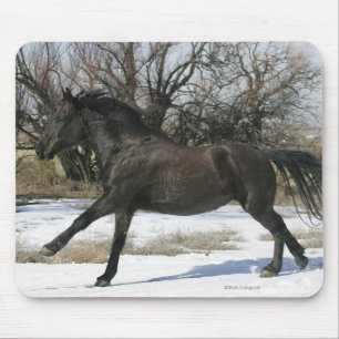 Tapis De Souris Cheval sauvage de mustang dans la neige 2