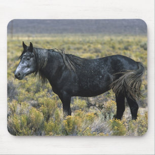 Tapis De Souris Cheval sauvage de mustang dans le désert