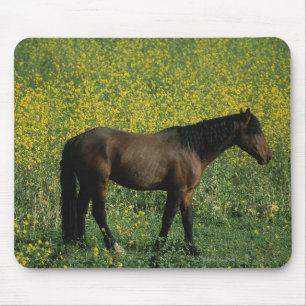 Tapis De Souris Cheval sauvage de mustang se tenant en fleurs