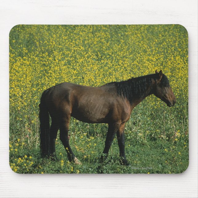 Tapis De Souris Cheval sauvage de mustang se tenant en fleurs (Devant)