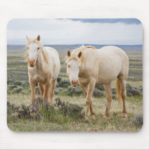 Tapis De Souris Cheval sauvage errant dans la prairie de Cody