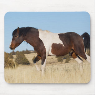 Tapis De Souris Cheval sauvage, montagnes Steens