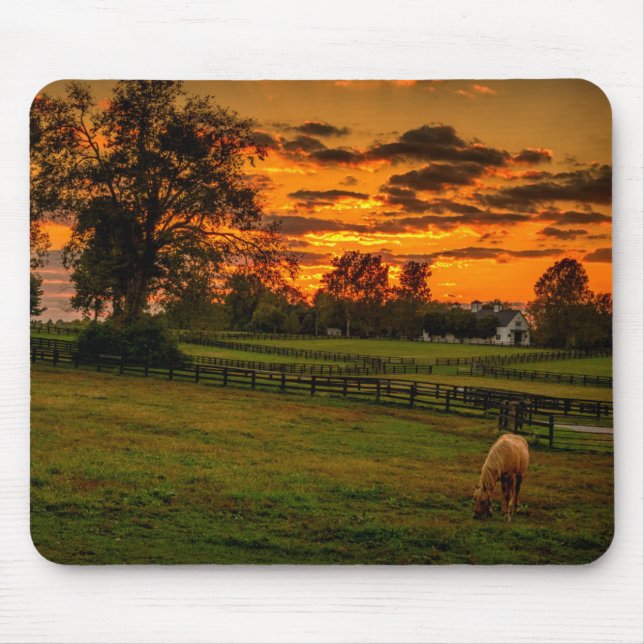 Tapis De Souris Cheval solitaire au coucher du soleil (Devant)