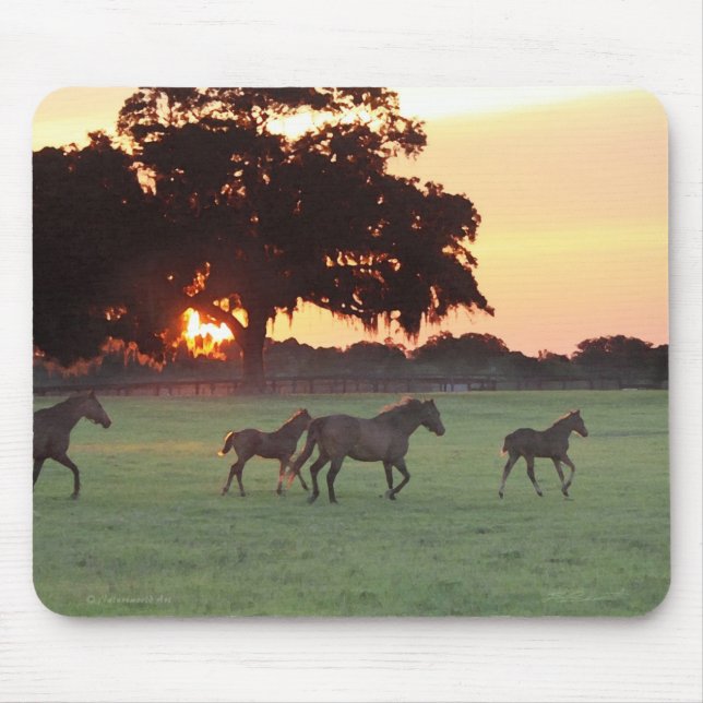 Tapis De Souris Cheval Sunset Art Mousepad (Devant)