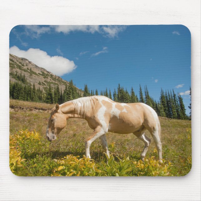 Tapis De Souris Cheval sur herbes dans une prairie alpine en été (Devant)