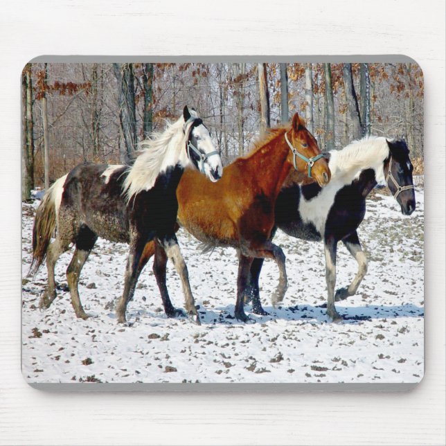 Tapis De Souris Cheval Trio Mousepad (Devant)