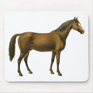 Tapis De Souris Cheval vintage
