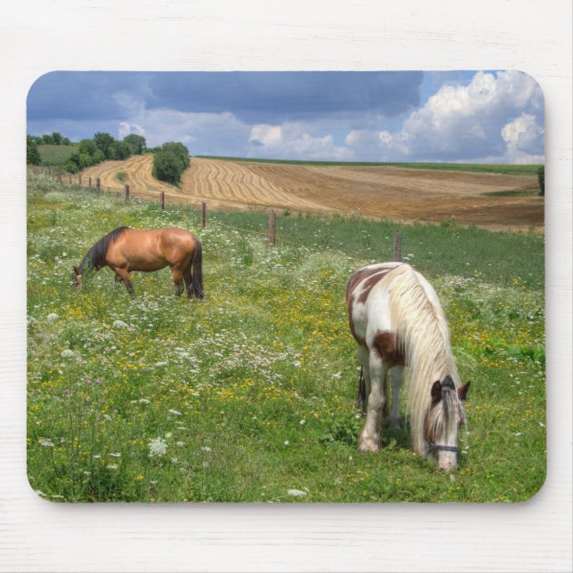 Tapis De Souris Chevaux (Devant)