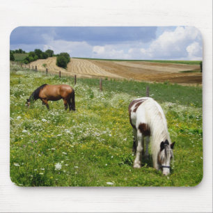 Tapis De Souris Chevaux