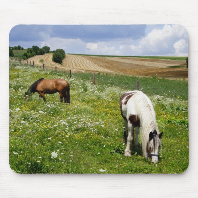 Tapis De Souris Chevaux (Devant)