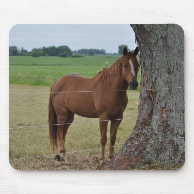 Tapis De Souris Chevaux (Devant)