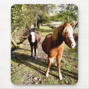 TAPIS DE SOURIS CHEVAUX