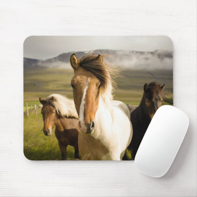 Tapis De Souris Chevaux (Avec souris)