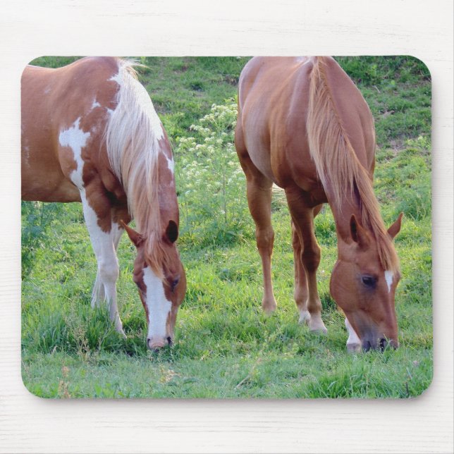 Tapis De Souris Chevaux (Devant)