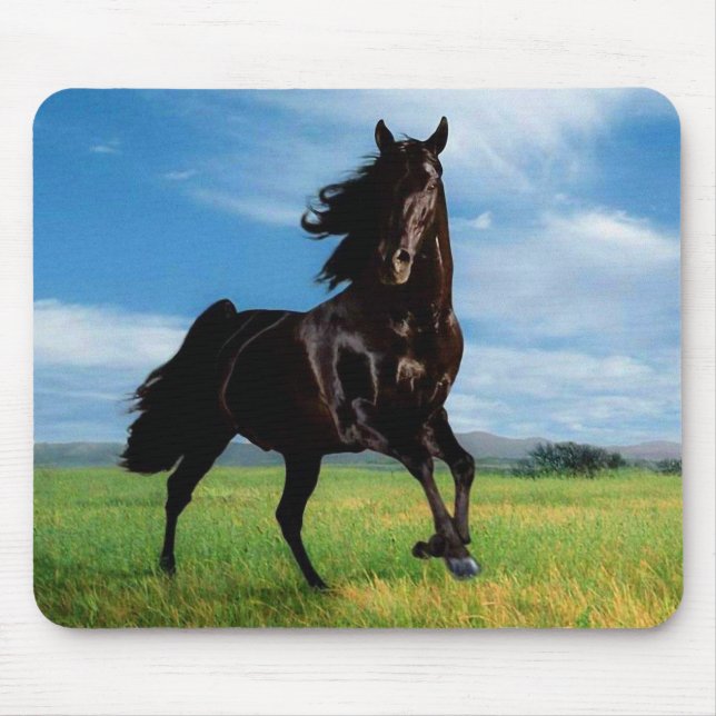Tapis De Souris Chevaux (Devant)
