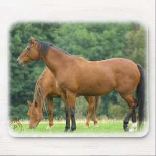 Tapis De Souris Chevaux 9A81D-10