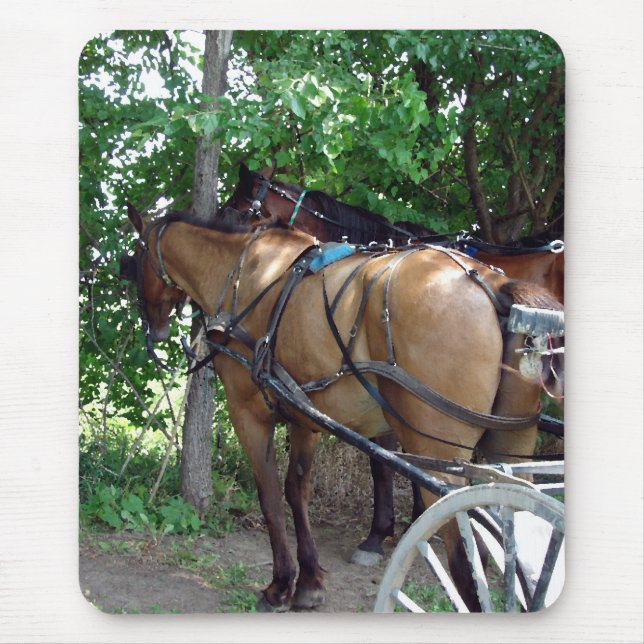 Tapis De Souris Chevaux Amish (Devant)