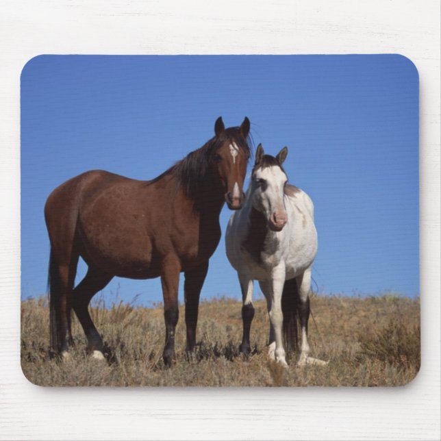 Tapis De Souris Chevaux avec Arrière - plan Sky (Devant)