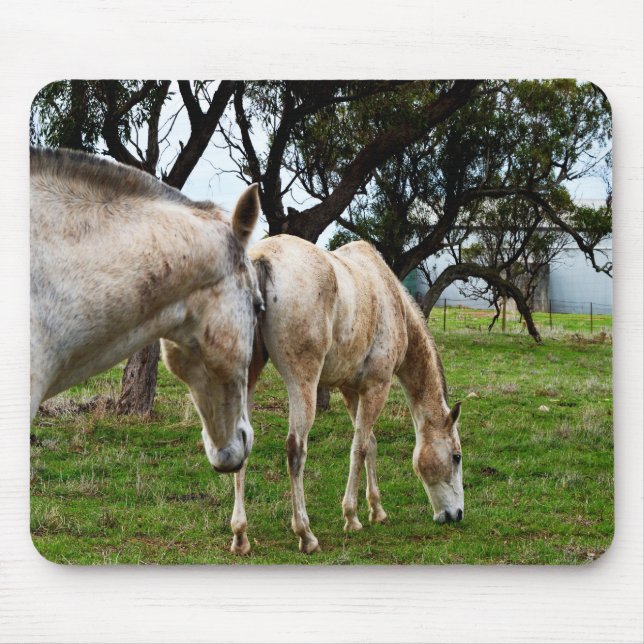 Tapis De Souris Chevaux blancs boueux, (Devant)
