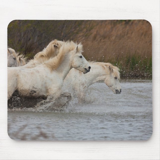 Tapis De Souris Chevaux blancs de Camargue courant dans l'eau (Devant)