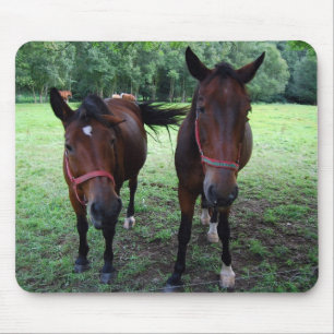 Tapis De Souris Chevaux brun foncé en pâture