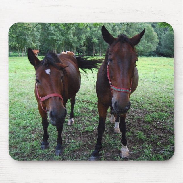 Tapis De Souris Chevaux brun foncé en pâture (Devant)