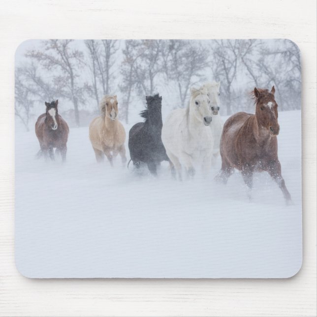 Tapis De Souris Chevaux courant à travers la neige (Devant)