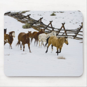 Tapis De Souris Chevaux courant dans la neige