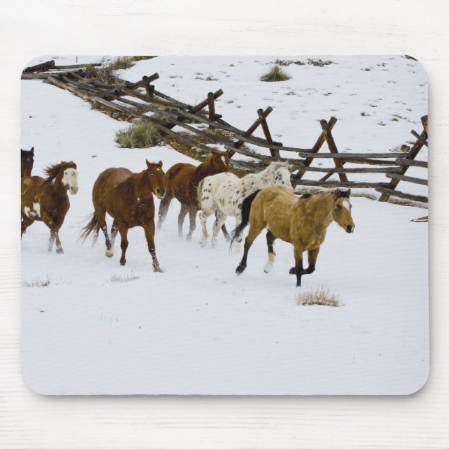 Tapis De Souris Chevaux courant dans la neige (Devant)